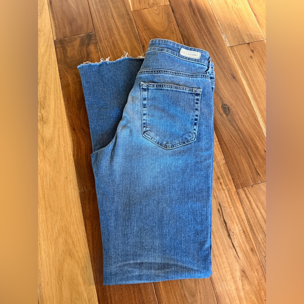 EUC AG Alexxis Boot High Rise Vintage Fit Jean